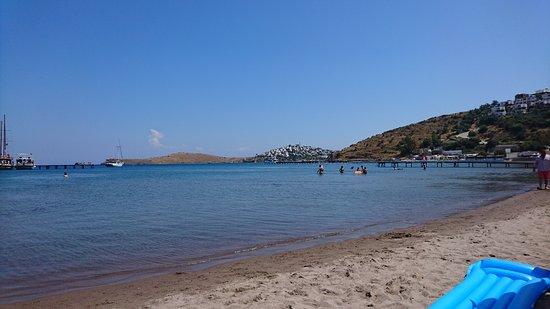 Camel Beach